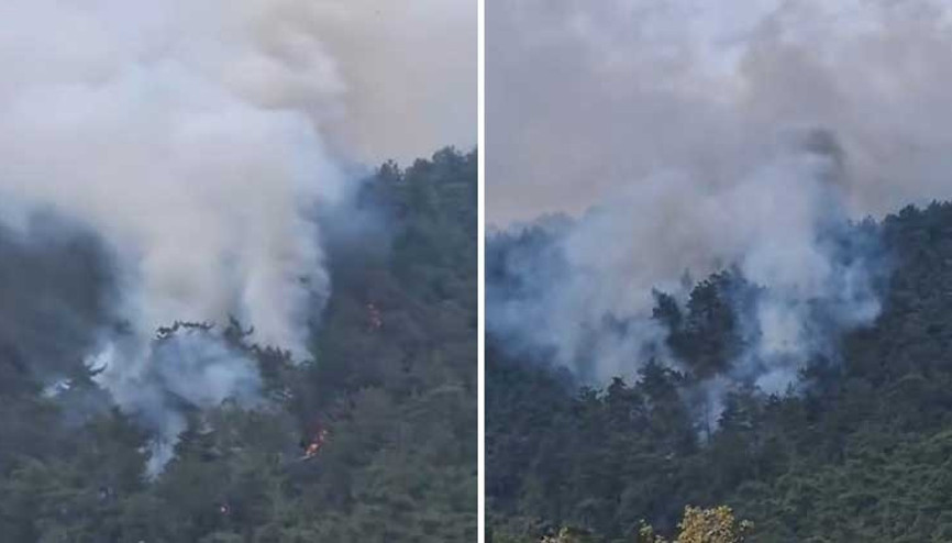 Muğla Milas’ta orman yangını