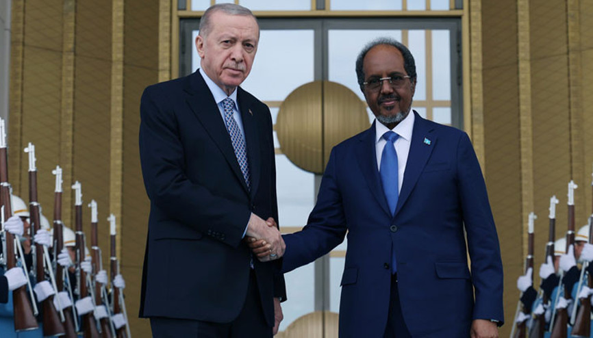 Cumhurbaşkanı Erdoğan, Somali Cumhurbaşkanı Mahmud ile görüştü