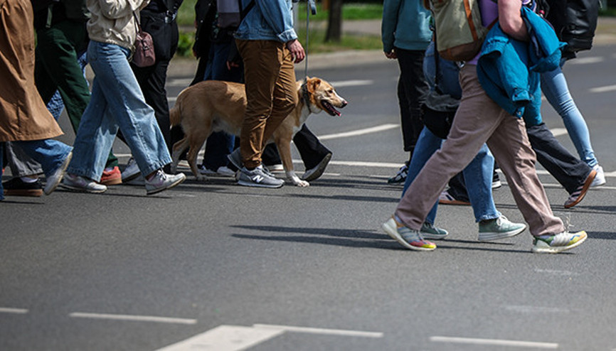 Almanya’da yayalar arttı, otomobil kullanımı azaldı