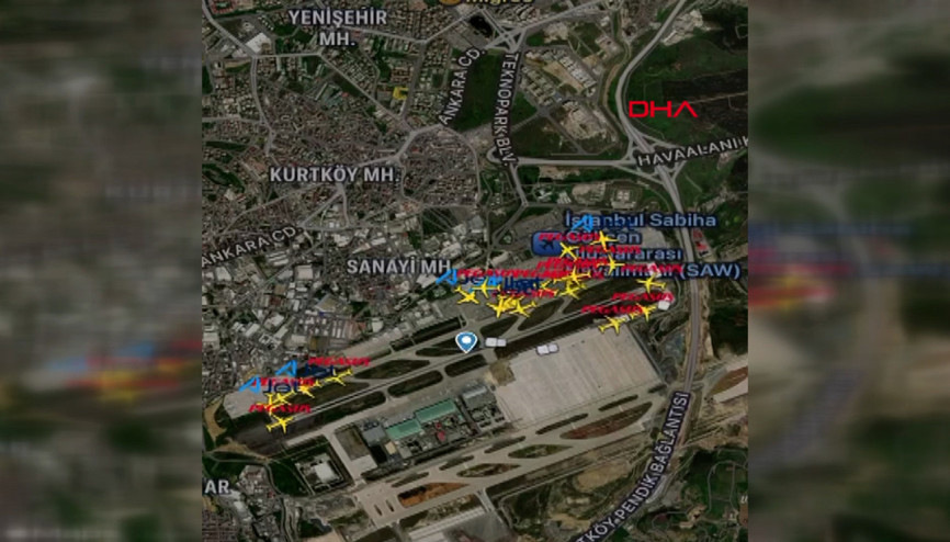 Sabiha Gökçen Havalimanı apronunda tilki alarmı Sabiha Gökçen Havalimanı apronunda tilki alarmı