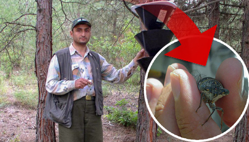 Keşfine verdiği isim herkesi şaşkına çevirmişti Sosyal medyada gündem olan akademisyen: Linçleneceğimi bilerek bu kararı verdim