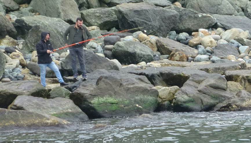Rizede denize 2 ton levrek dağıldı... Haberi duyanlar sahile koştu