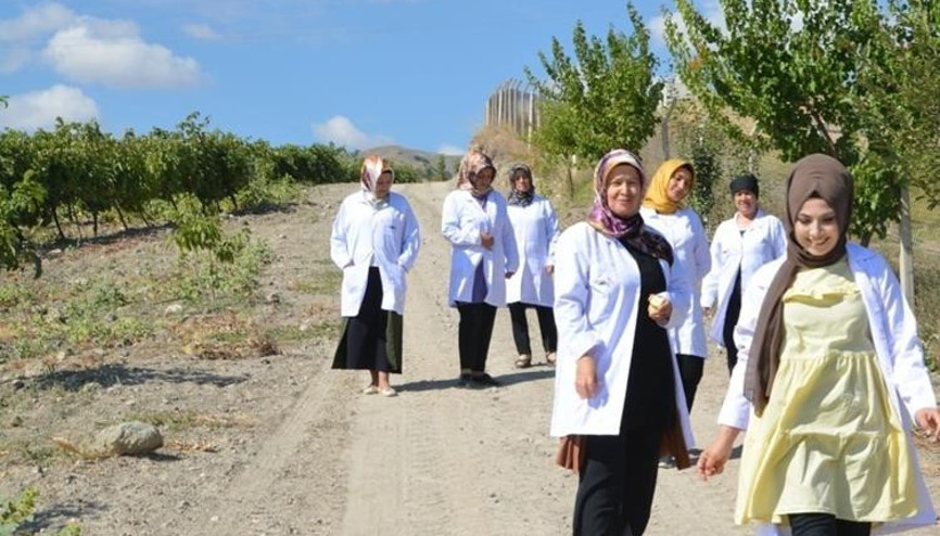 Kalecik Karası ile hedef 50 ton üretim