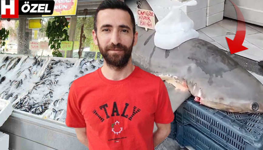 Adana’da yakalandı, kanser hastalarına dağıtıldı Köpek balığı gerçekten kanseri yenebilir mi ‘Bazı yan etkileri var ama…’