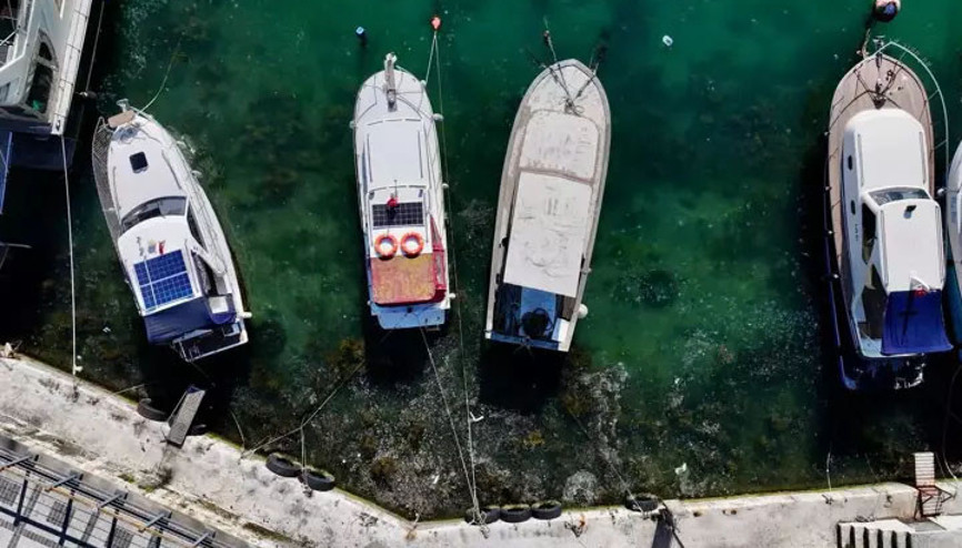 Müsilaj bu kez Beykoz ve Kadıköy’de görüldü Müsilaj bu kez Beykoz ve Kadıköy’de görüldü