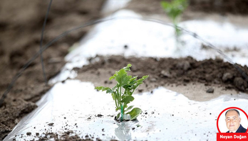 Üreticiyi zirai don vurdu tarım sigortası zararı nasıl karşılayacak