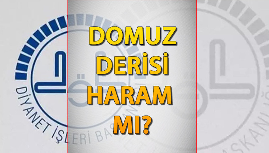 Domuz derisi haram mı Domuz derisinden ayakkabı ve kıyafet giymek caiz mi, günah mı İşte Diyanetin yanıtı