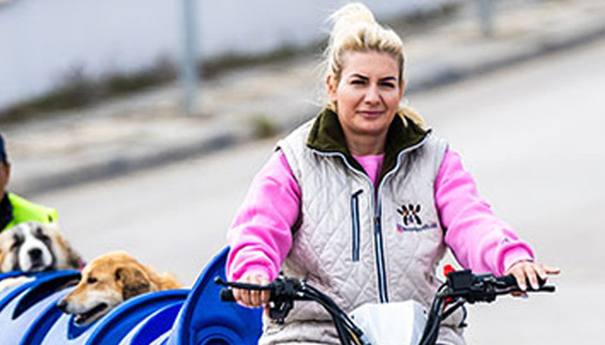 Bağış paraları hesaplarına aktarılmış Yaşama Tutunan Patiler Derneği soruşturmasında istenen ceza belli oldu Bağış paraları hesaplarına aktarılmış Yaşama Tutunan Patiler Derneği soruşturmasında istenen ceza belli oldu