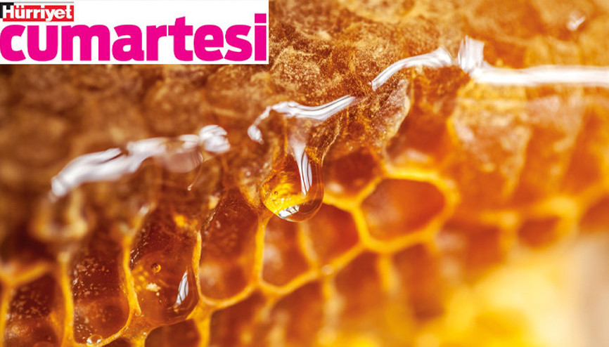 Türkiye’nin bal haritası