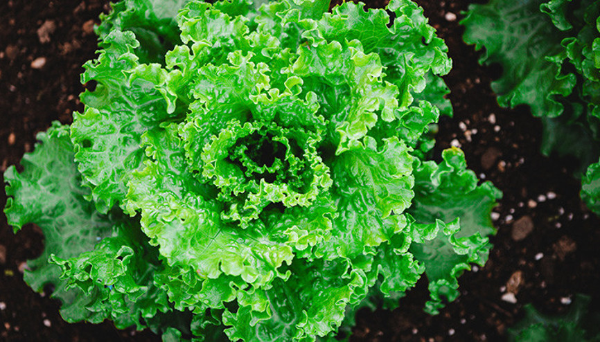 Maruldan çıkana inanamayacaksınız Görünce midesi bulandı