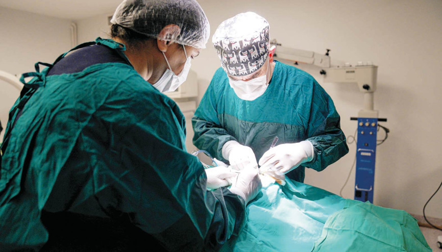 Can dostlara başarılı ameliyat