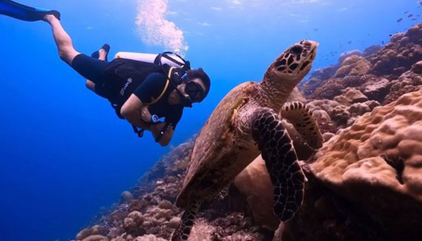 Mahsun Kırmızıgül köpek balıklarıyla yüzdü