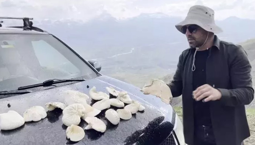 2 bin rakımın üzerinde yetişen mantarları topluyorlar