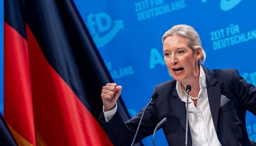 Almanyada Anayasa Mahkemesi AfDyi aşırı sağcı oluşum olarak tanımladı Almanyada Anayasa Mahkemesi AfDyi aşırı sağcı oluşum olarak tanımladı