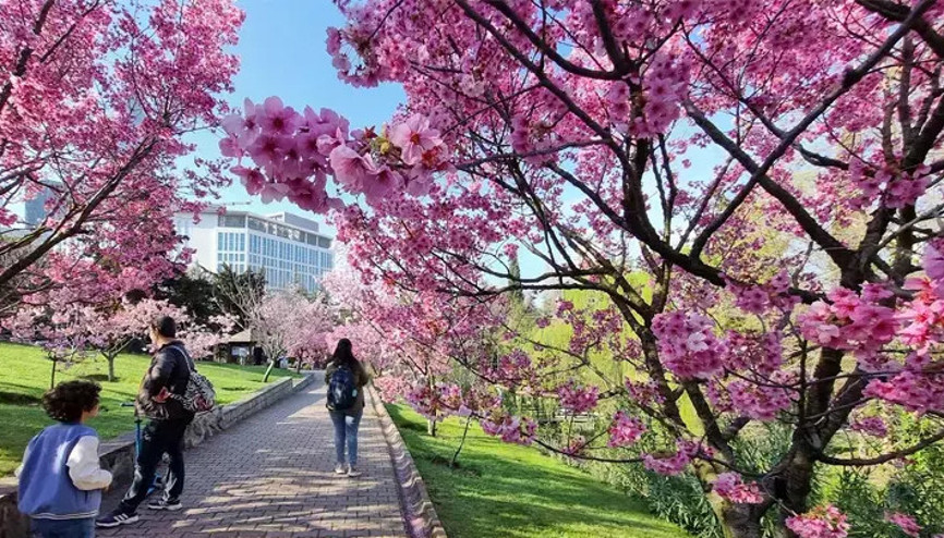 Meteorolojiden yeni rapor: Bahar sonunda geliyor... Sıcaklıklar artacak