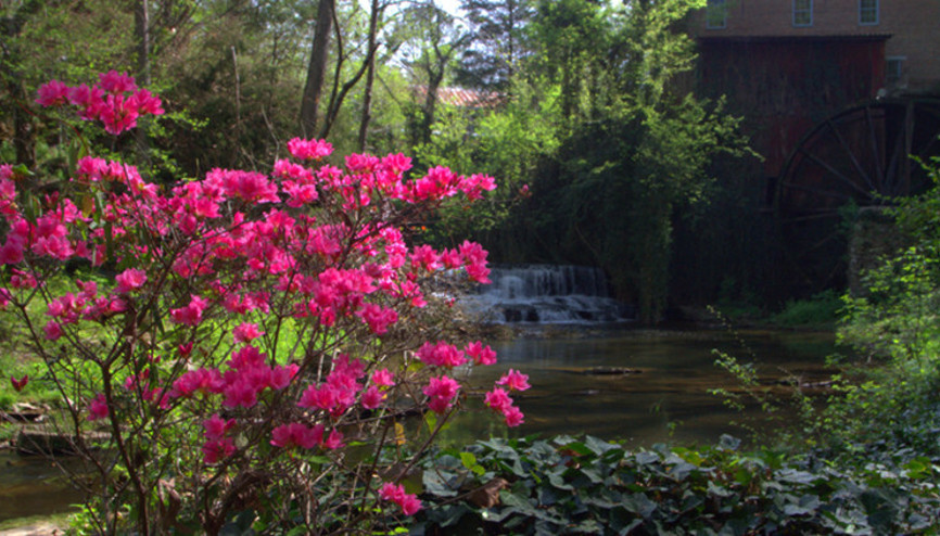 Hıdırellezde dilek dilemek günah mı Hıdırellez dinen doğru mu, kutlamak günah mı Hıdırellez’in İslam’daki yeri nedir Hıdırellezde dilek dilemek günah mı Hıdırellez dinen doğru mu, kutlamak günah mı Hıdırellez’in İslam’daki yeri nedir