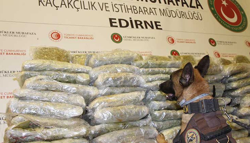 234 kilo esrarı narkotik köpeği Turbo buldu