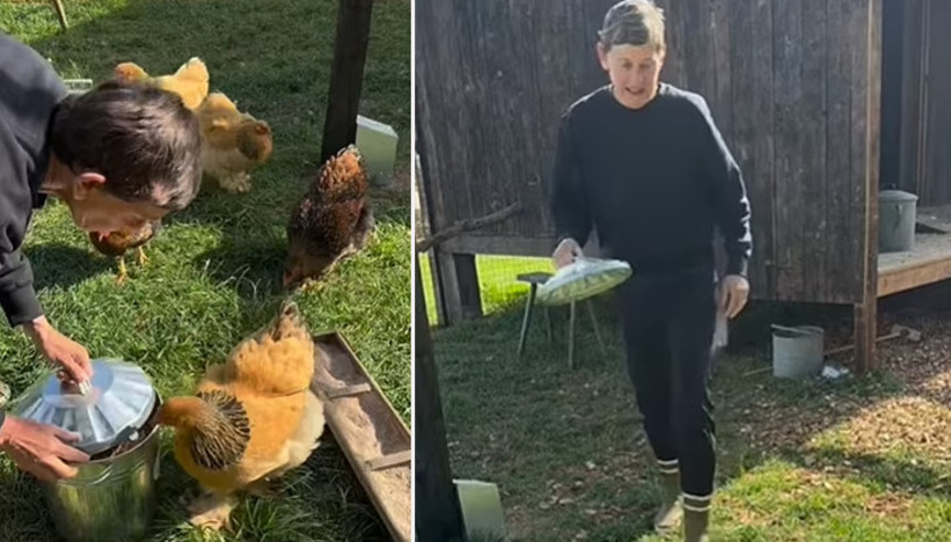 Ekranın en konuşkan yıldızıydı... Doğaya koşup çiftliğe yerleşti, başına gelmeyen kalmadı: Yemeğinizi yiyin tavuklarım