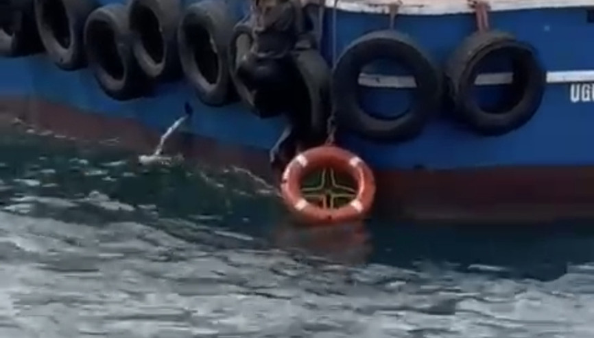 İstanbul - Kartalda vapurdan denize düşen kadını balıkçılar kurtardı İstanbul - Kartalda vapurdan denize düşen kadını balıkçılar kurtardı
