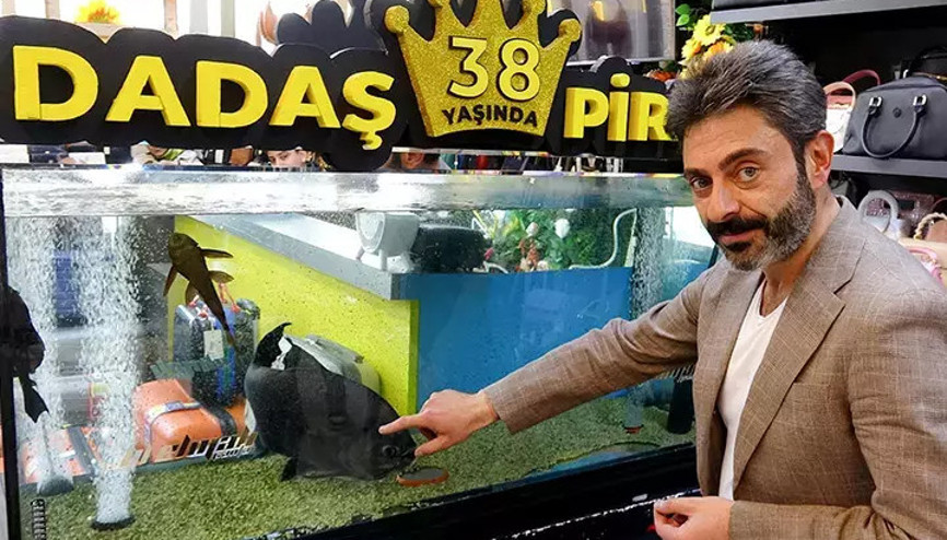 Dadaş isimli pirana için ilginç doğum günü kutlaması