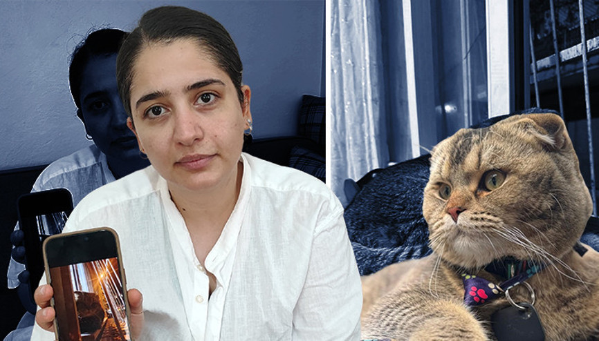 Evliliğinin kaderi bu kediye bağlı... Anlatırken gözyaşlarını tutamadı