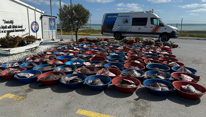 Arnavutköyde kaçak avlanan 900 kalkan balığına el konuldu