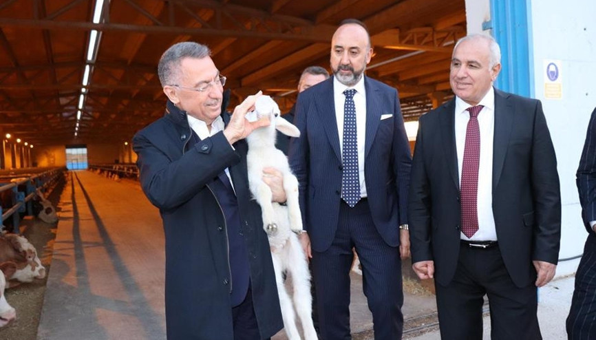 Oktay’dan hayvancılığın üssüne ziyaret... ‘Üreticinin yanındayız’