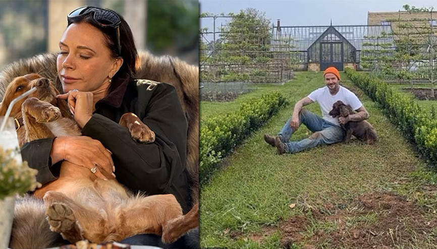 Oğulları ve gelinleriyle küstüler… Kendilerini çiftlik yaşamının kollarına attılar