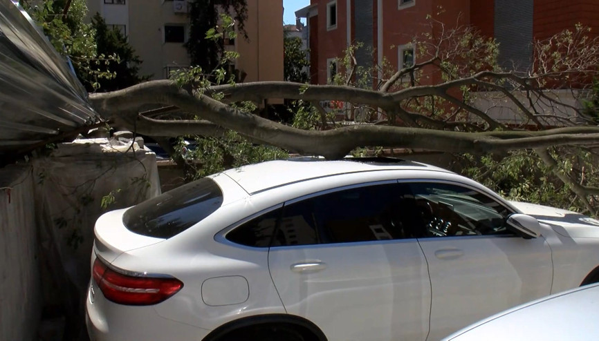 İstanbul-Kadıköy’de inşaat alanındaki ağaç otomobilin üstüne devrildi İstanbul-Kadıköy’de inşaat alanındaki ağaç otomobilin üstüne devrildi
