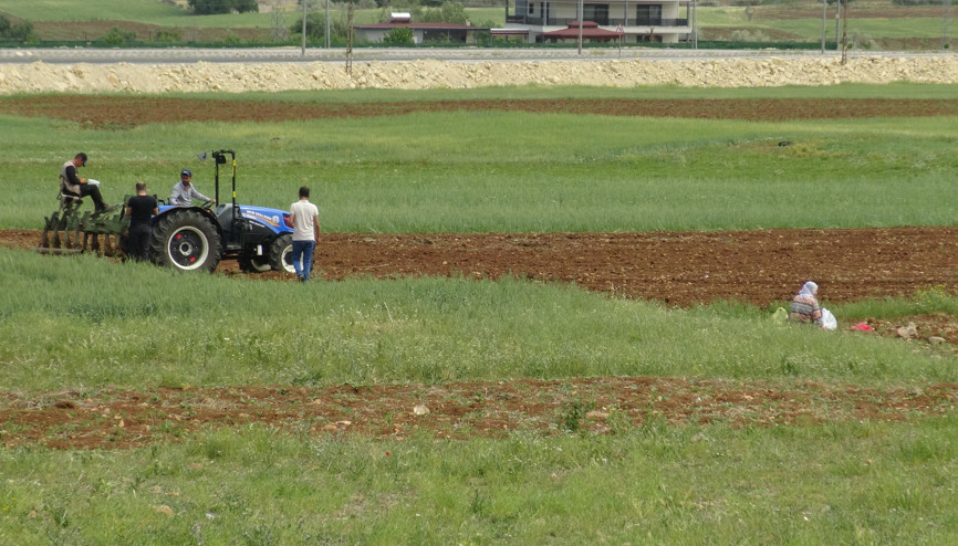 Gercüşte Çiftçiler Erken Ekime Başladı