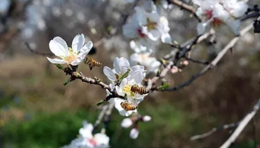 Nevruz Bayramı ne zaman, hangi gün 21 Mart resmi tatil oldu mu