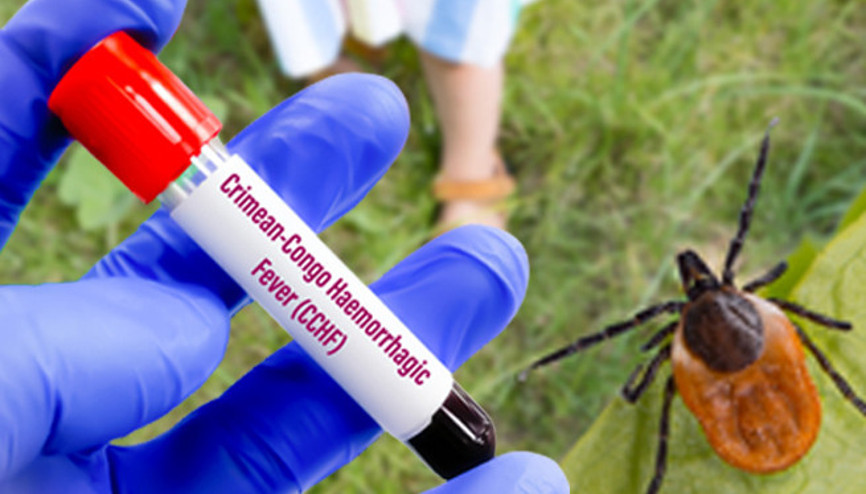 Keneler can almaya devam ediyor | Nereden ısırdığı çok önemli Uzmanlar Karadeniz ve İç Anadolu’ya dikkat çekiyor