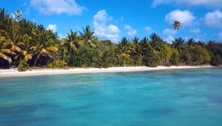 SURVİVOR 1. ELEME ADAYI BELLİ OLDU 24 MAYIS 2025 | Survivor All Star dün akşam 1. dokunulmazlığı kim kazandı, potaya kim gitti
