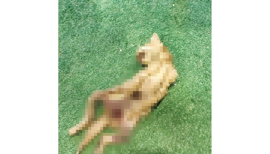 Kesiklerin ardında kim var