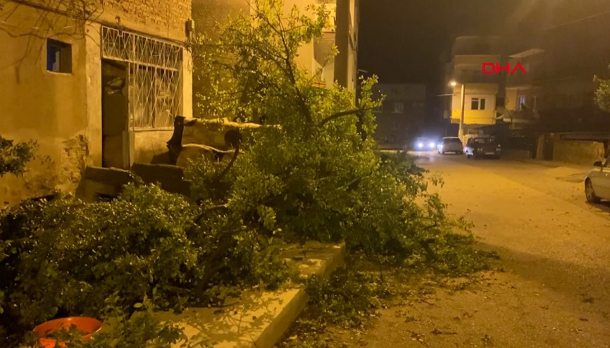 Karabük’te fırtınada ağaçlar devrildi