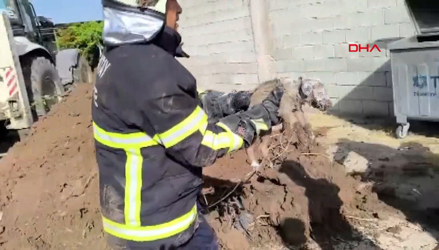 Yürekleri ısıtan görüntü... Su kuyusuna düşen yavru köpek kurtarıldı