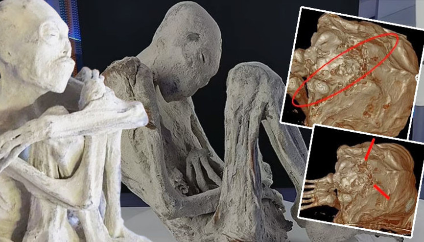 Çölde başlayan gizemli hikâye bilimi karıştırdı: Bu sefer sırrı çözüldü mü ‘İnsan benzeri organlara sahipler ama...’ Çölde başlayan gizemli hikâye bilimi karıştırdı: Bu sefer sırrı çözüldü mü ‘İnsan benzeri organlara sahipler ama...’