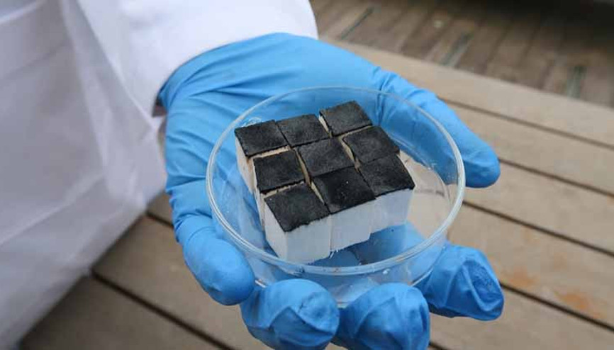 Bilim insanlarından ilginç keşif: Akıllı sünger