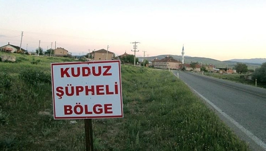 4 mahalle kuduz nedeniyle karantinaya alındı