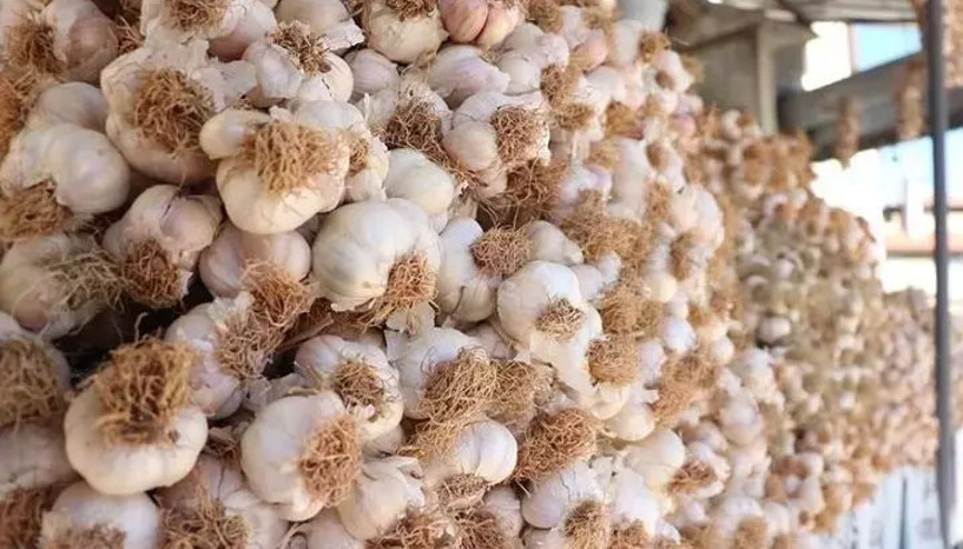 Taşköprü sarımsağı diye Çin sarımsağını’ sattılar