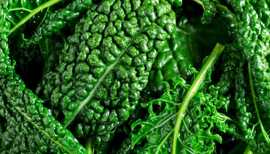 Kaya gibi kemikler için bol bol tüketin İşte sağlam kemikler için tüketilmesi gereken o gıdalar