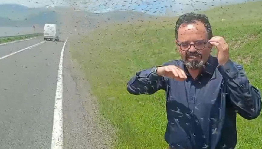 Çıldır Gölü çevresinde yeşil sinek istilası Değişik bir manzara ve biraz da ürkütücü Çıldır Gölü çevresinde yeşil sinek istilası Değişik bir manzara ve biraz da ürkütücü