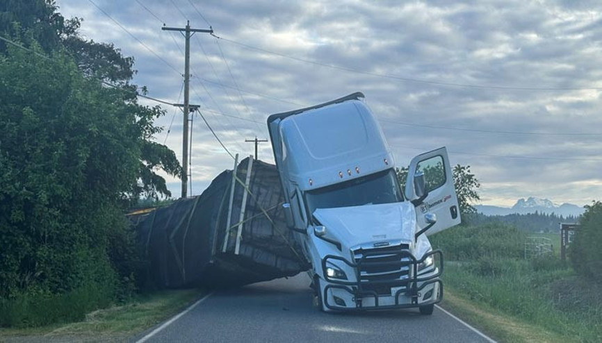 ABDde arı alarmı Kamyon devrildi: Millyonlarcası serbest kaldı