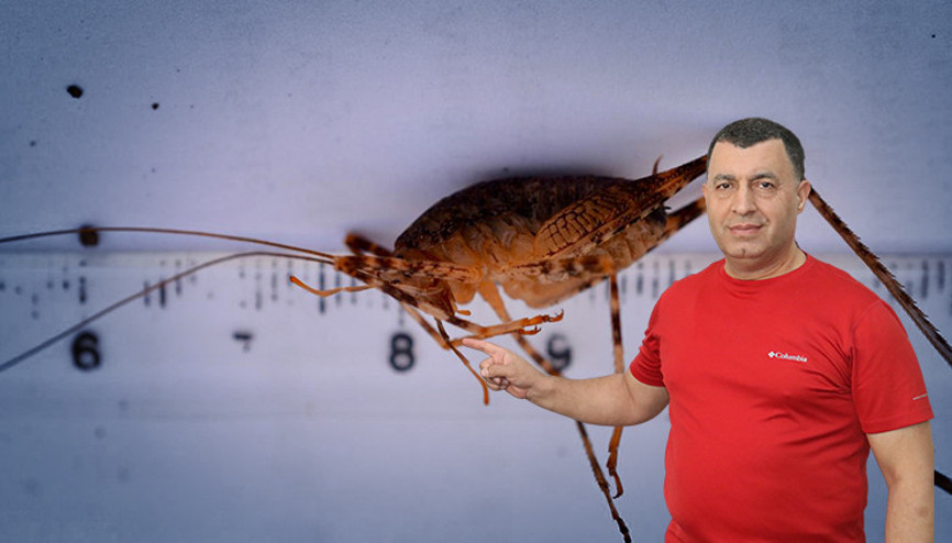 Diclede keşfedildi, ilçenin adı verildi... Daha önce böyle bir cinse rastlanmamıştı