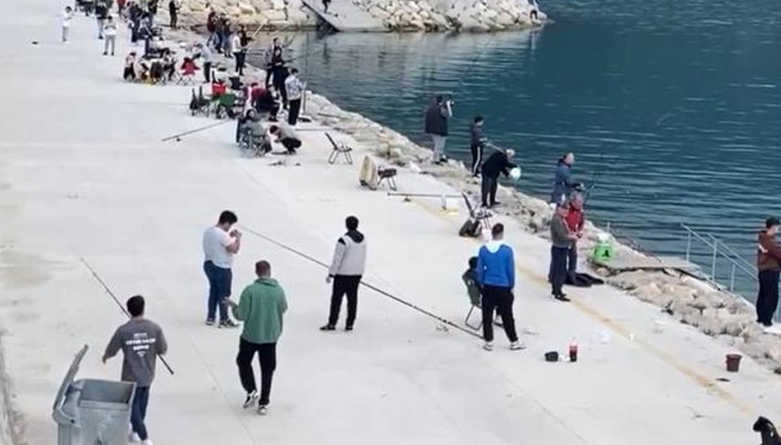 Sürü halinde geldiler... Duyanlar sabahın ilk ışıklarında sahile koştu