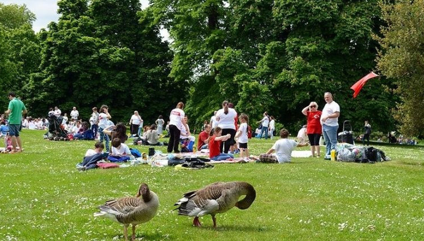 Piknik severler dikkat KKKA vakalarında dikkat çeken artış