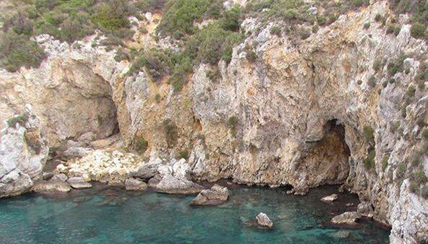 Nesli tehlike altındaki tür Aydında görüntülendi Burayı seçmesi bizim için büyük şans