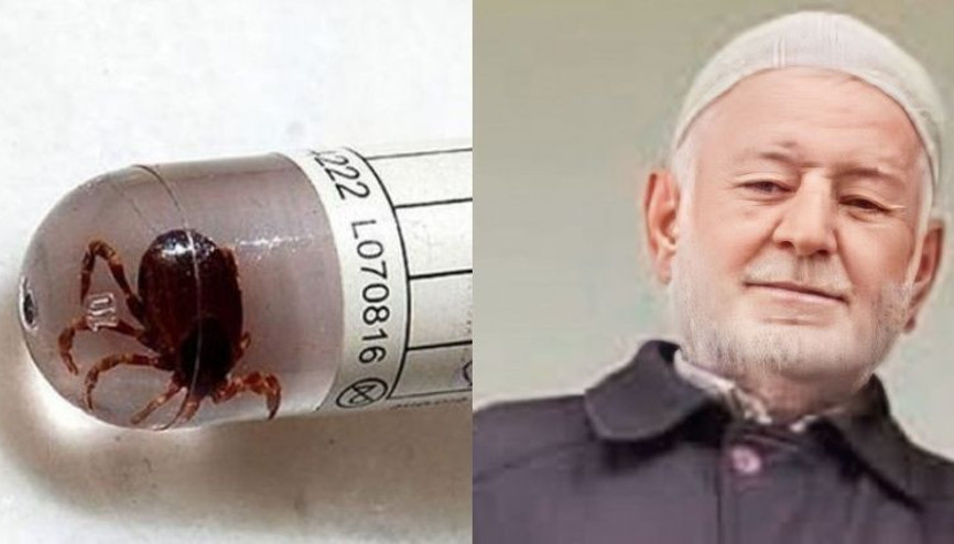 Koltuk altına kene yapıştı, hayatını kaybetti