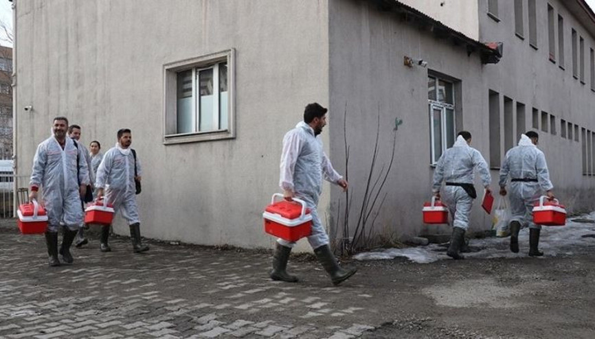 Ekipler harekete geçti Şırnakta şap hastalığı tespit edildi, köy karantinaya alındı