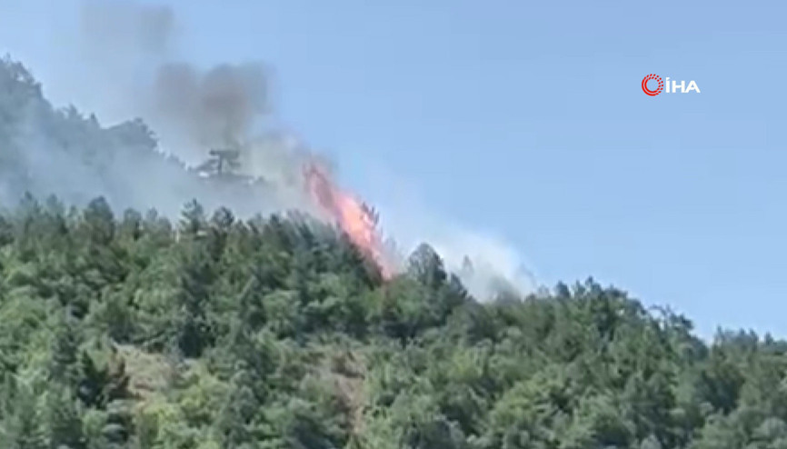 Ankarada orman yangını